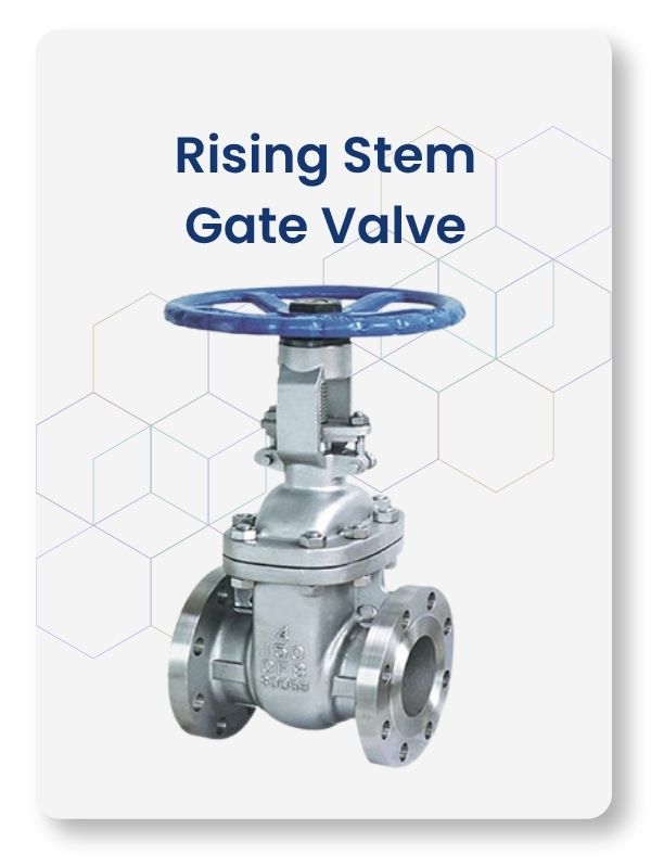 Rising Stem Gate Valve